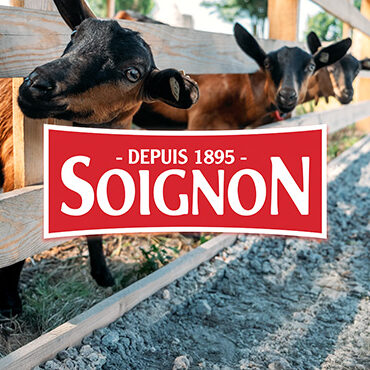 Soignon