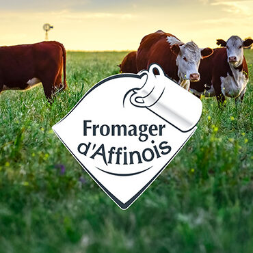 Fromager d'Affinois